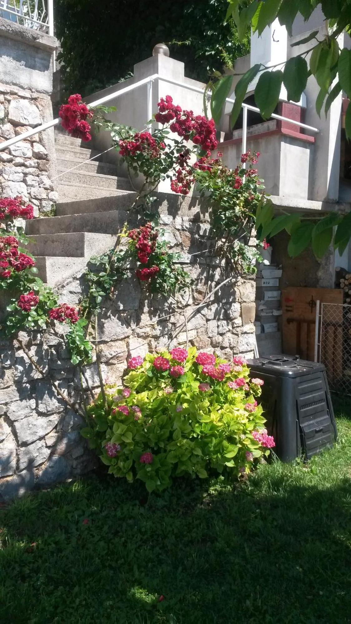 Apartmani Silvana&Vera سينج المظهر الخارجي الصورة